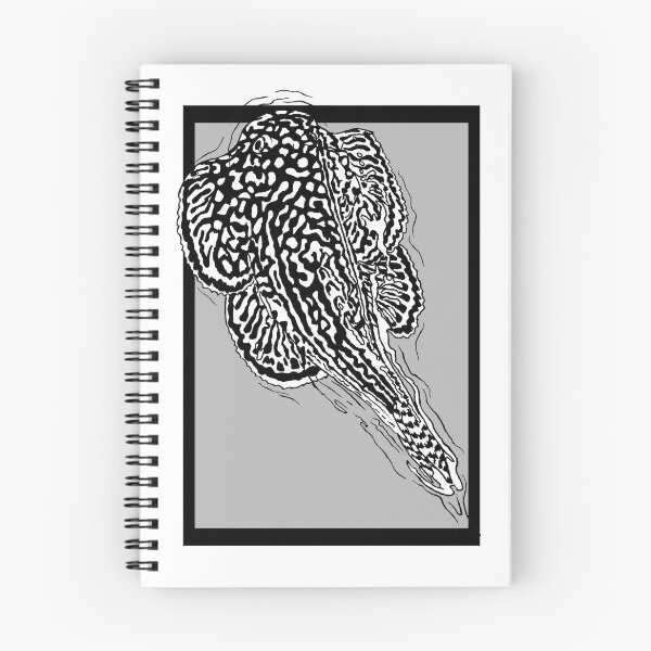 Item preview, Hillstream Butterfly Loach designed and sold by TinkerandBone.