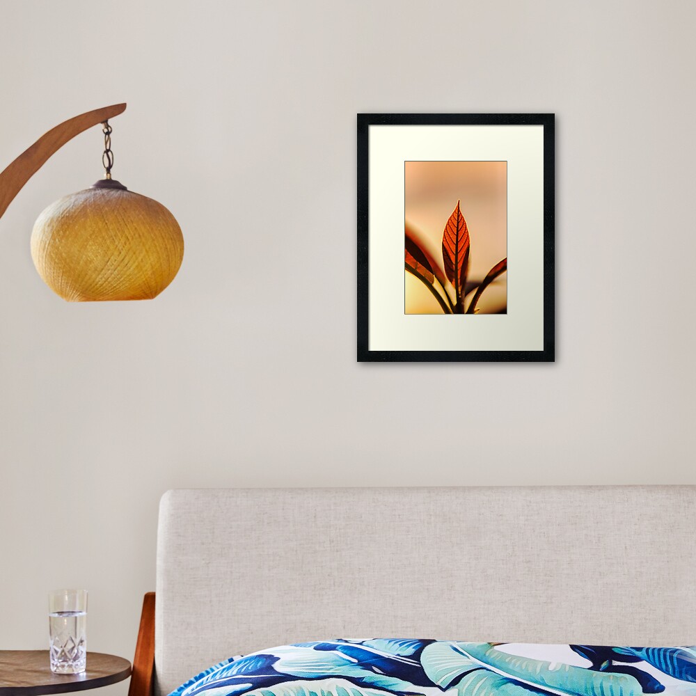 Avocado leaves, silhouette Framed Art Print