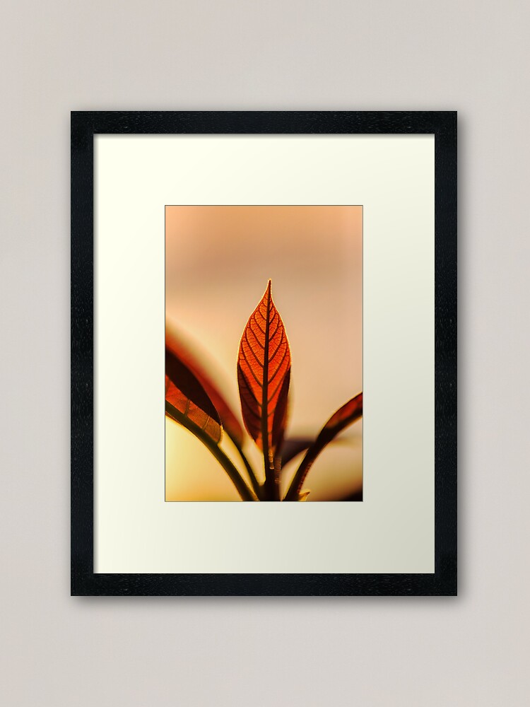Alternate view of Avocado leaves, silhouette Framed Art Print