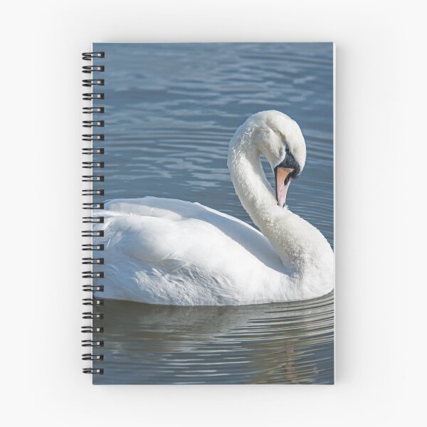 Item preview, Mute Swan on Lake designed and sold by Cameranick.