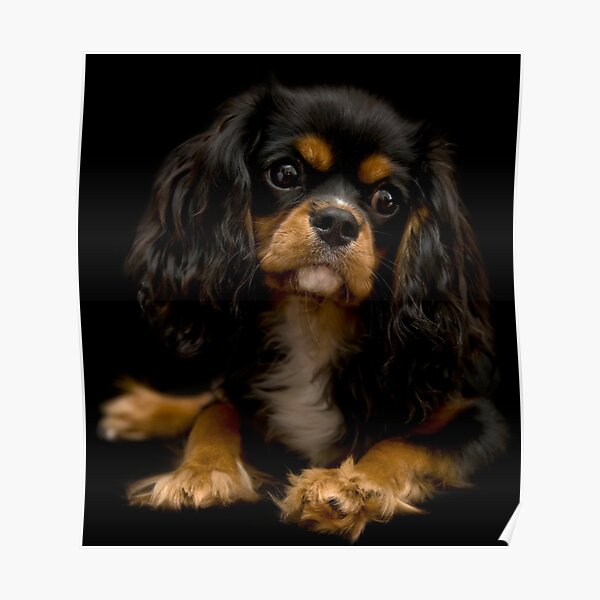 Queen Sophie, King Charles Poster