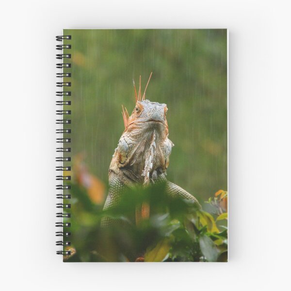 Item preview, mohican in the rain designed and sold by gruntpig.