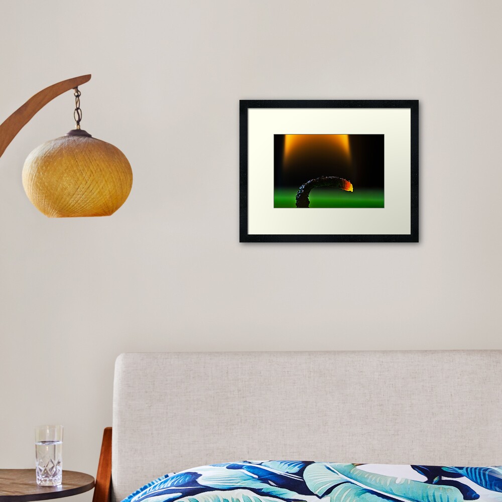 Candle wick Framed Art Print