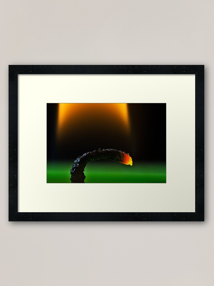 Alternate view of Candle wick Framed Art Print