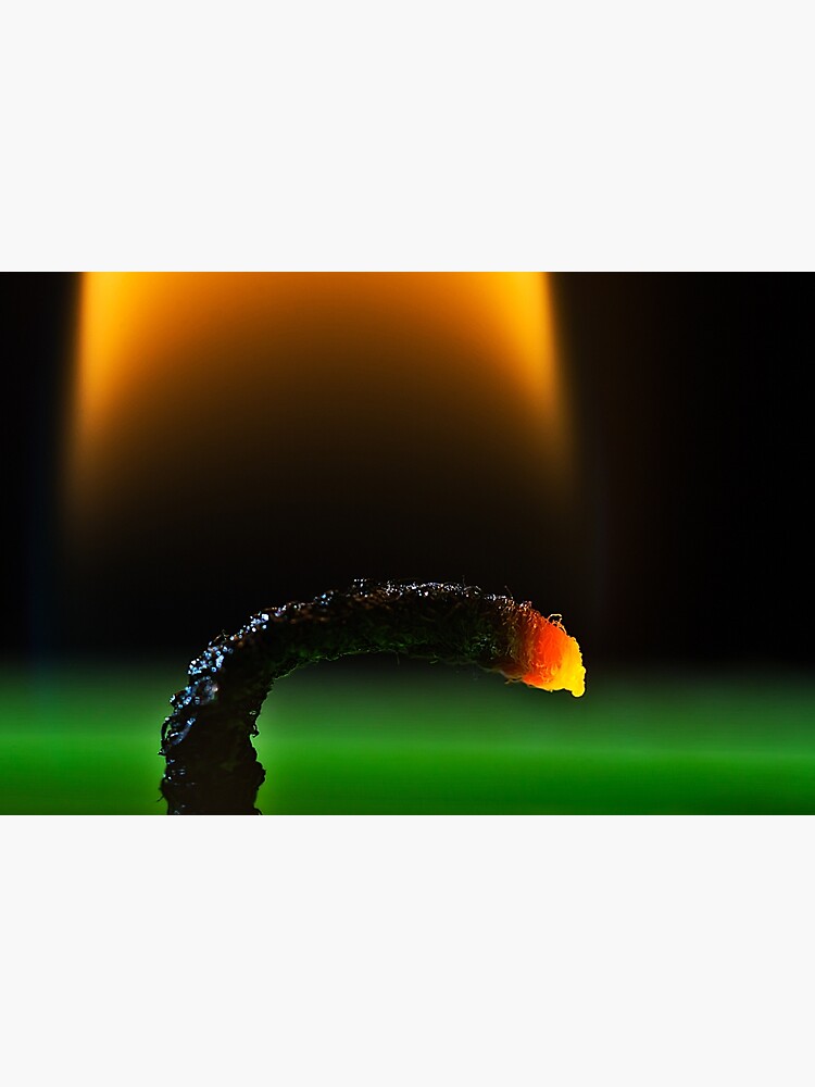 Candle wick by fardad