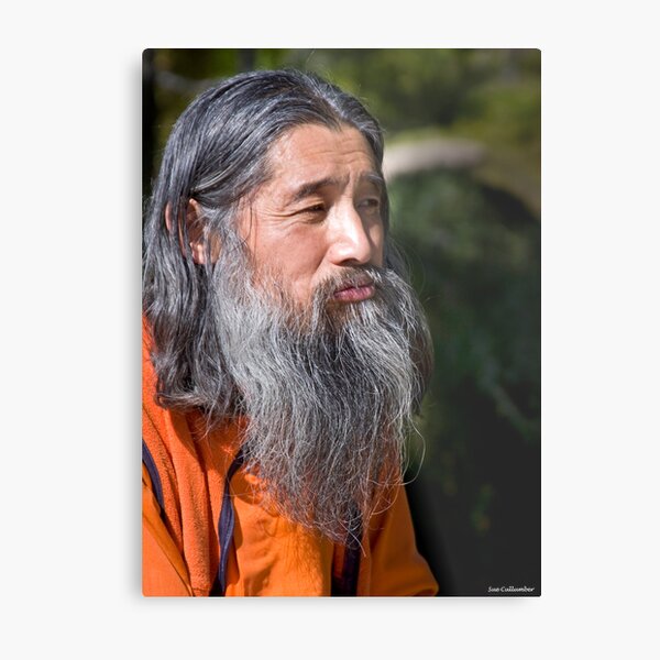 Wisdom Metal Print