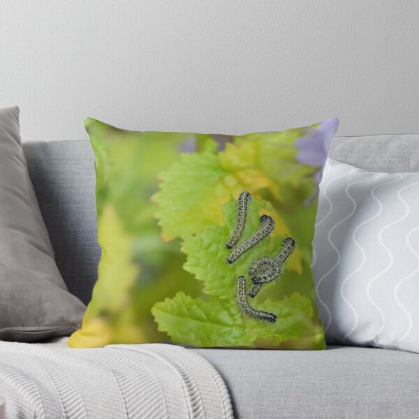 Item preview, Caterpillars designed and sold by relayer51.