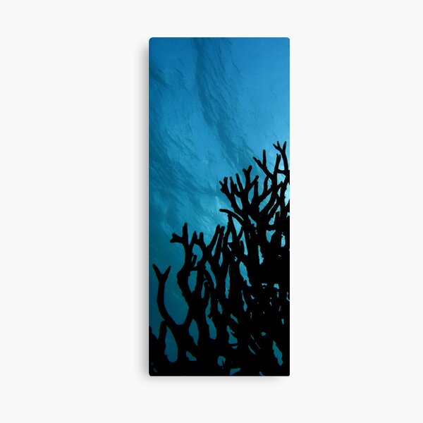 Mood of the Deep Canvas Print