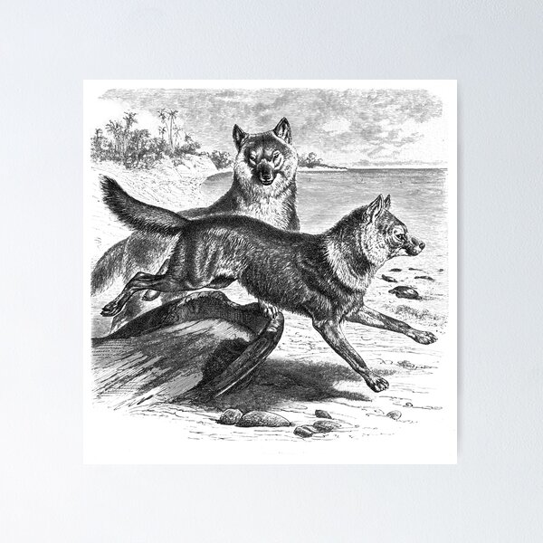Item preview, Two dogs running on the beach designed and sold by marmur.