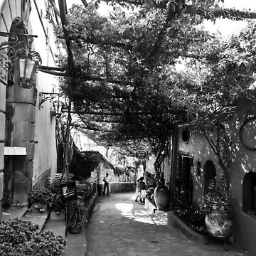 Artwork thumbnail, Positano Alley by Adrian Alford Photography