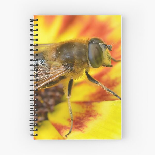 Item preview, Merodon Hoverfly designed and sold by relayer51.