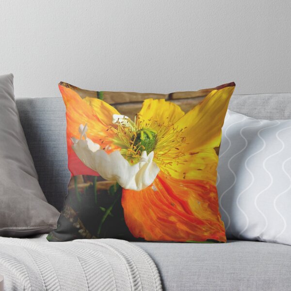 Item preview, Tri colour poppy.  designed and sold by sandysartstudio.
