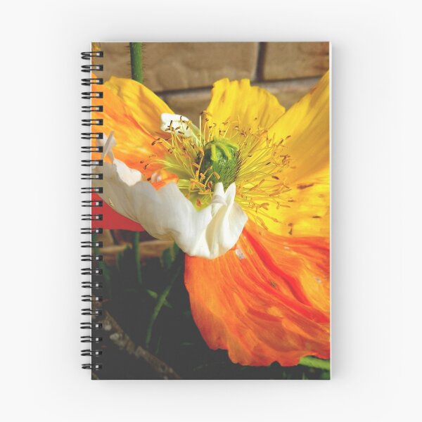 Item preview, Tri colour poppy.  designed and sold by sandysartstudio.