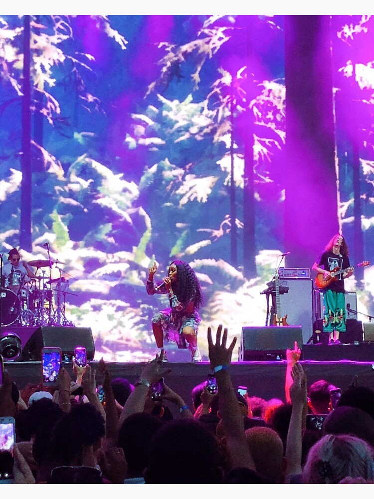 "SZA Concert" Sticker for Sale by sydlifecrisis | Redbubble