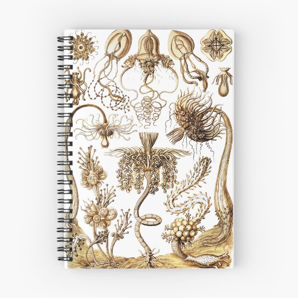 Item preview, Ernst Haeckel - Tubulariae designed and sold by ShaMiLaB.