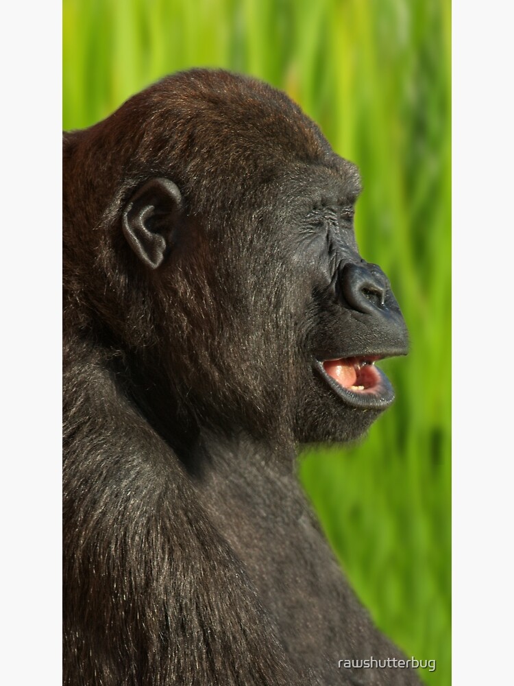 Gorilla Lope's Grin Throw Pillow for Sale by rawshutterbug