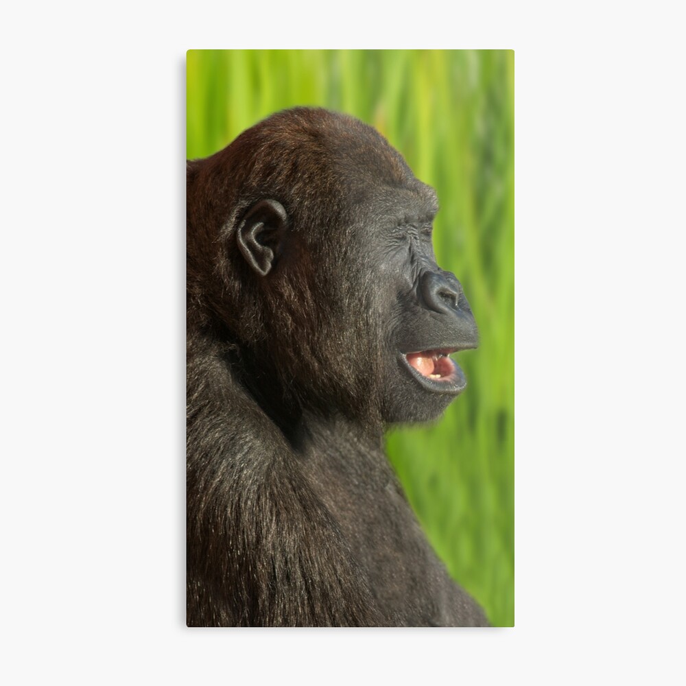 Gorilla Lope's Grin Throw Pillow for Sale by rawshutterbug