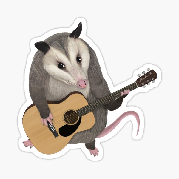 Opossum playing the acoustic guitar - possum shirt Sticker