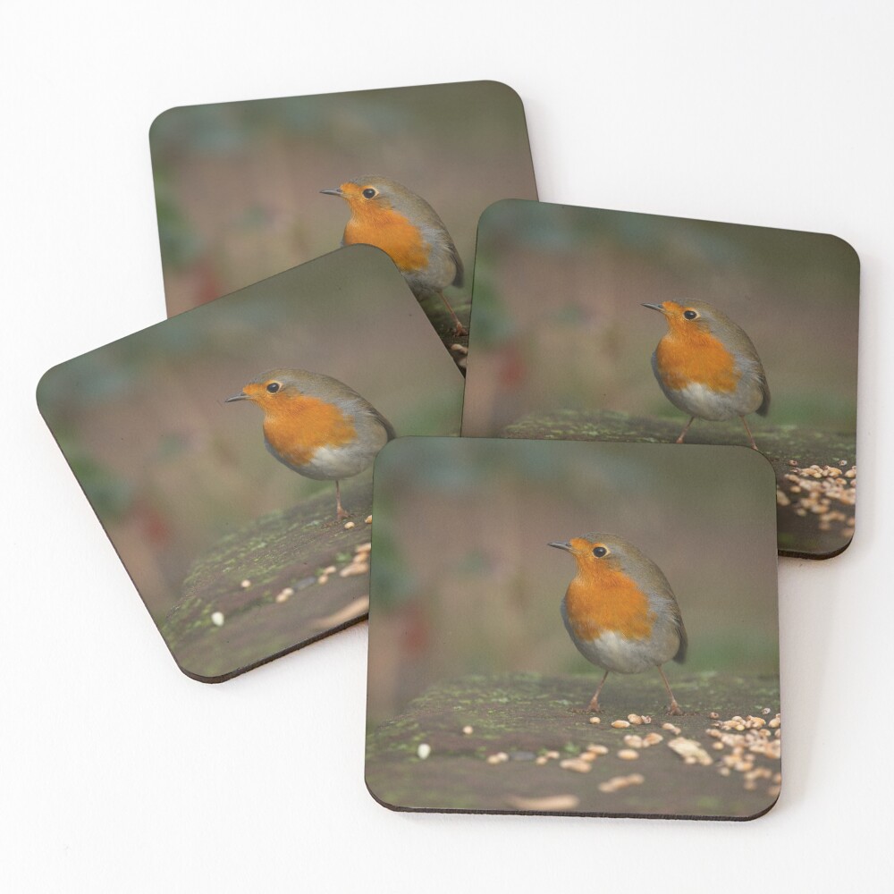 Item preview, Coasters (Set of 4) designed and sold by rawshutterbug.