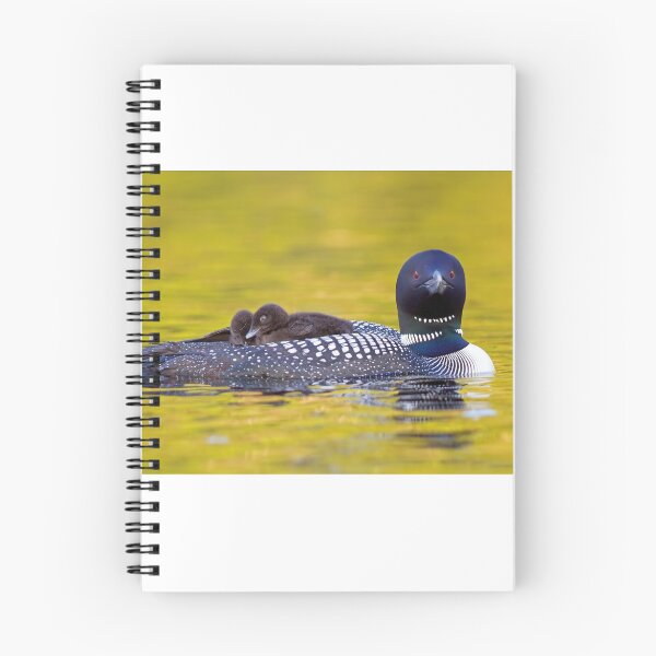 Item preview, Ready for bed - Common loons designed and sold by James Cumming.
