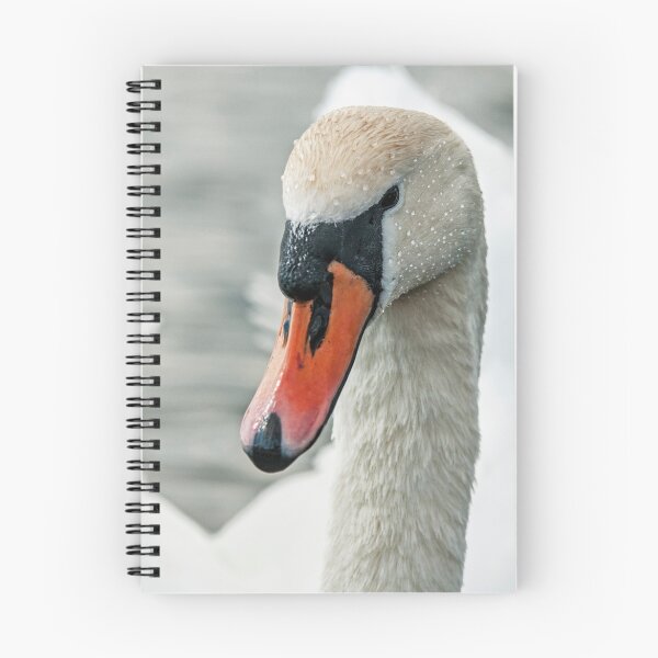 Item preview, Mute Swan Gliding on Lake designed and sold by Cameranick.
