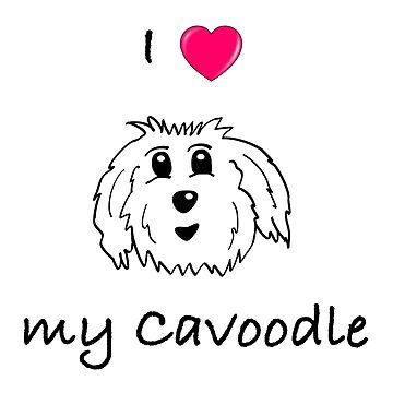 cavoodle t shirt