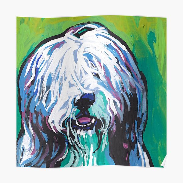 Bearded Collie Bright colorful pop dog art Poster