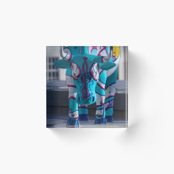 Painted Cow by Cathedral Youth, Ebrington Square Derry Acrylic Block