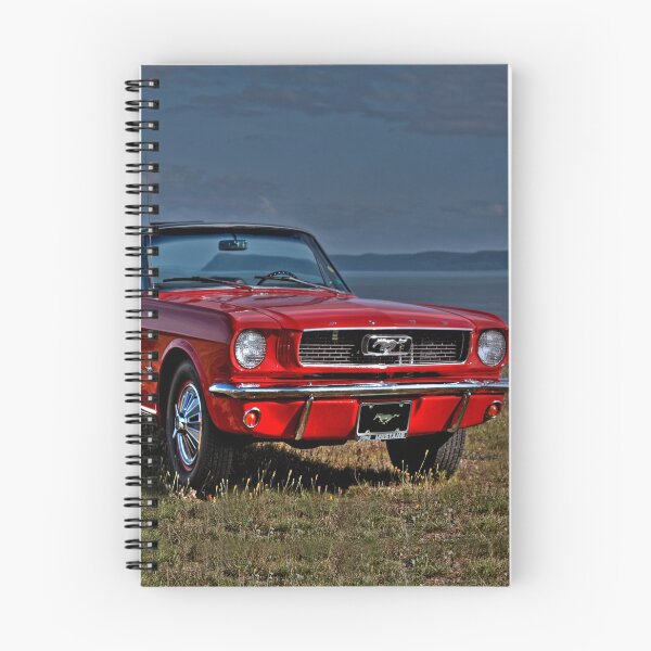 Aperçu de l'œuvre Mustang créée et vendue par Johnny Furlotte.