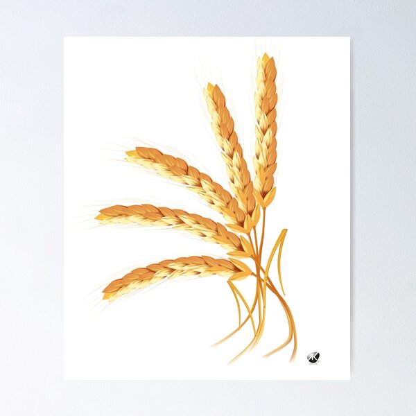 Item preview, Ears of wheat designed and sold by Alexandra Kueny.