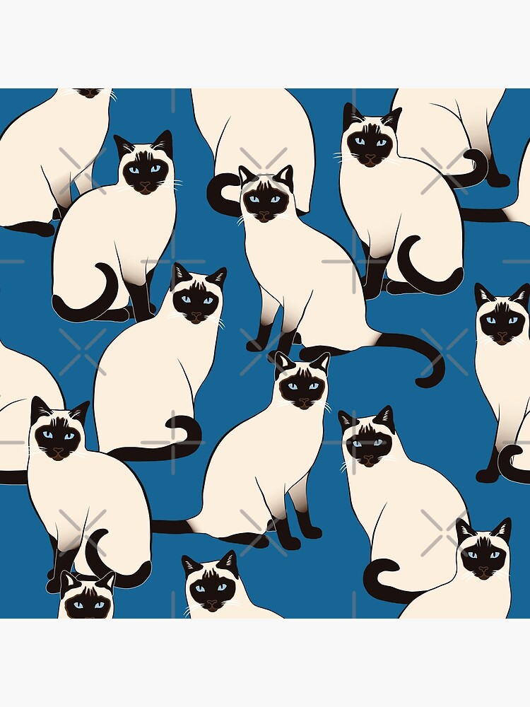 Siamese Cats on dark blue by nadyanadya