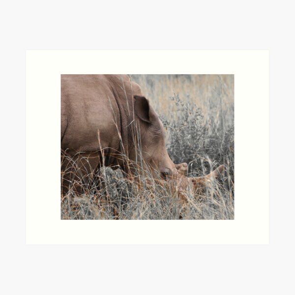 White Rhino Art Print