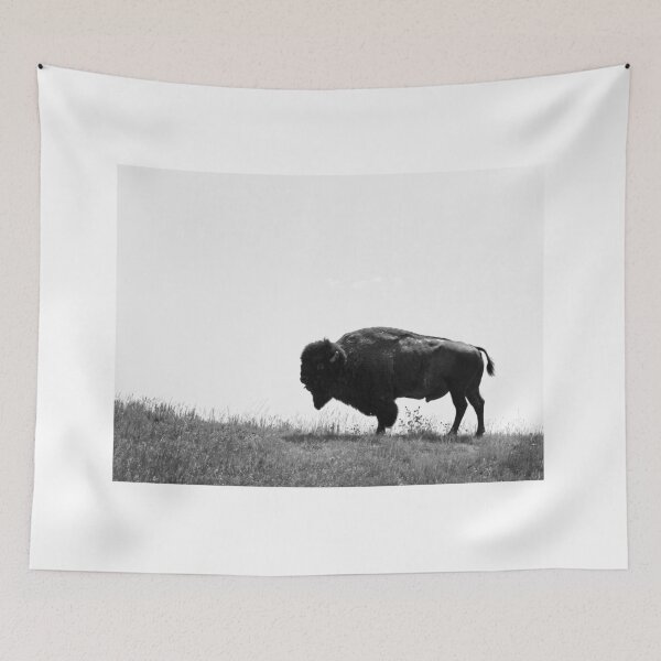 Item preview, American Bison designed and sold by YelloCoyote Photography.