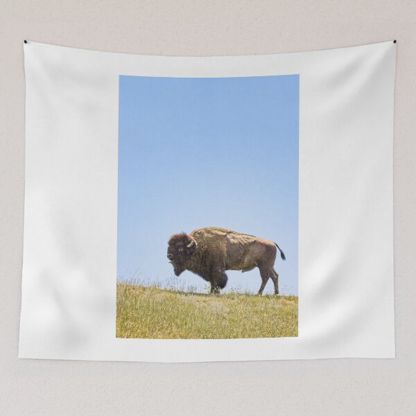 Item preview, American Bison designed and sold by YelloCoyote Photography.