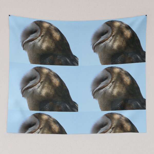 Item preview, Profile of a barn owl designed and sold by RichImage.