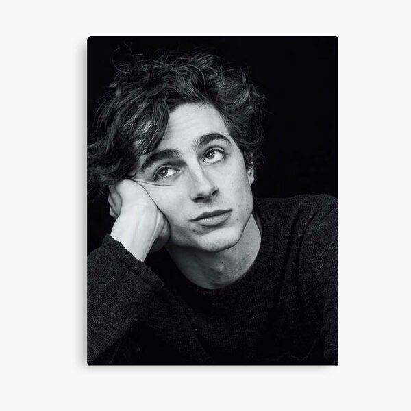 Timothée Chalamet Canvas Print