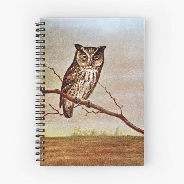 Item preview, Screech Owl Vintage Illustration designed and sold by goldenmenagerie.