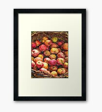 Apple Basket 1 Framed Print