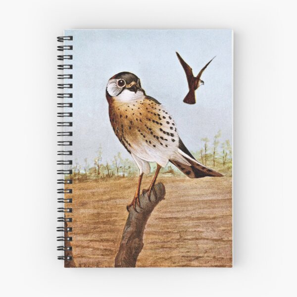 Item preview, Sparrow Hawks designed and sold by goldenmenagerie.