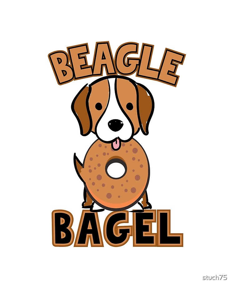 todos los bagels son seguros para los perros