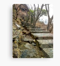 Escaleras en Malinalco Metal Print