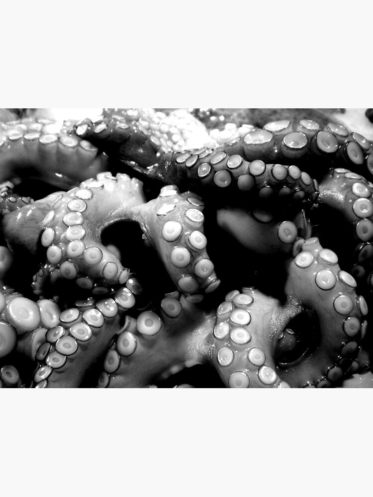 Octopus Poster By Jopugh1978 Redbubble 9783