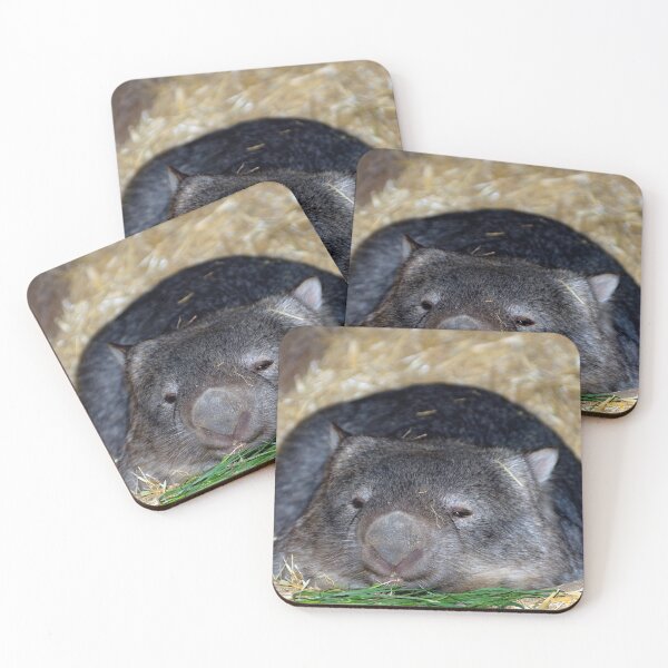 Item preview, WOMBAT designed and sold by Rick Knowles Photo Art.