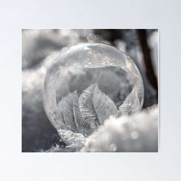 Item preview, Frozen designed and sold by Rita Anthony.
