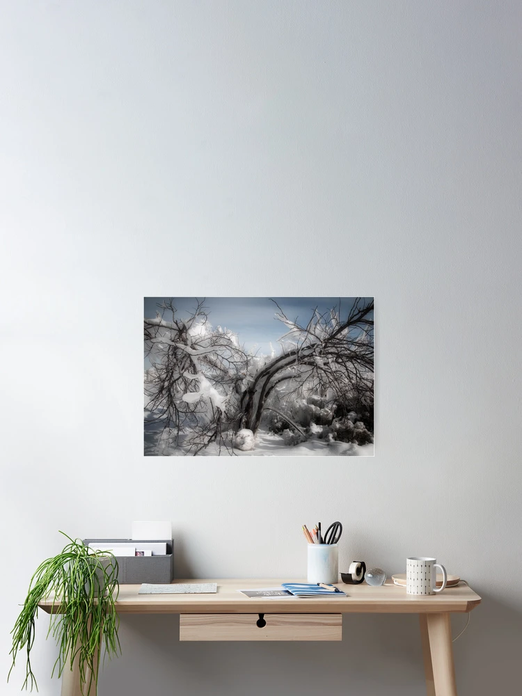 Thumbnail 2 of 3, Poster, Iced Over designed and sold by Rita Anthony.