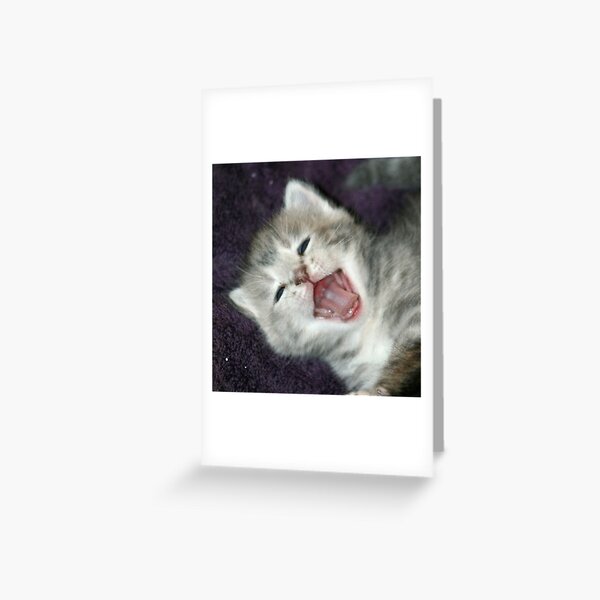 Ouch! Greeting Card