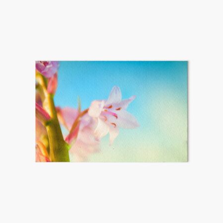 Pink Hyacinth Flower Art Board Print