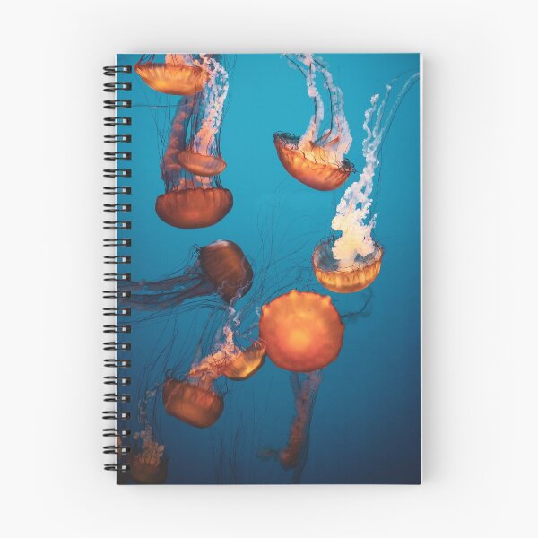 Item preview, Jellyfish Shuffle designed and sold by Garrett Fisher.