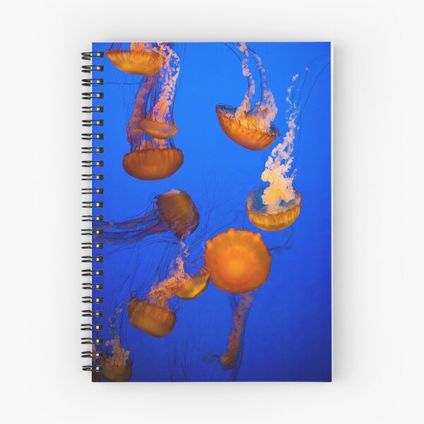 Item preview, Jellyfish Shuffle designed and sold by That CI Guy.