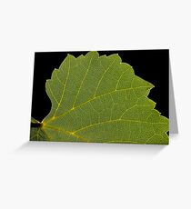 Translucent vine leaf Greeting Card